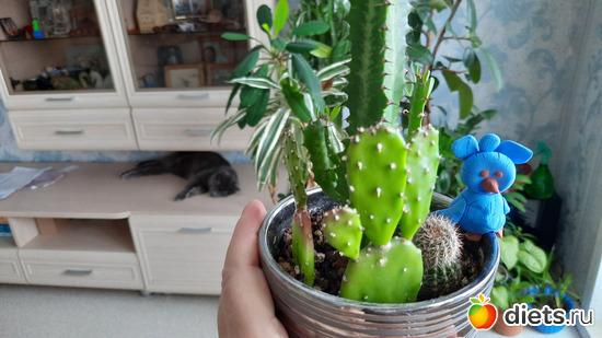  ,  ,   ))), : -2022/2023