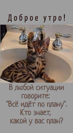 78.8+100 16.12.22 ������� ���������� ������!