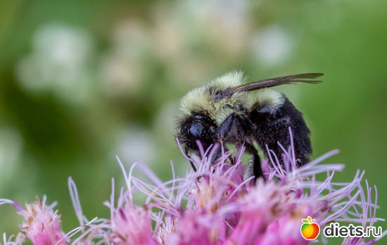 2 фото: everything