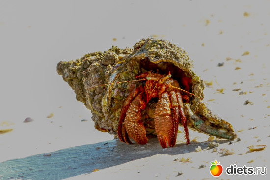 3 фото: everything