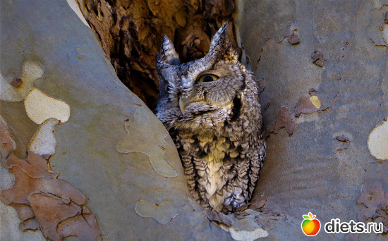 6 фото: everything