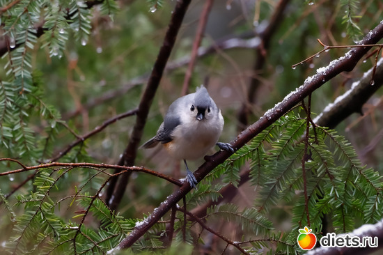 8 фото: everything