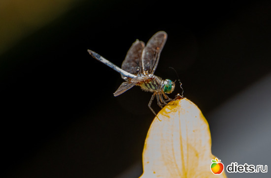 10 фото: everything