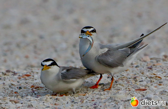 11 фото: everything