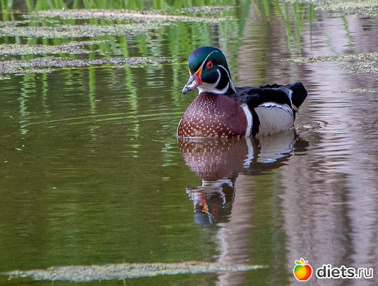 14 фото: everything