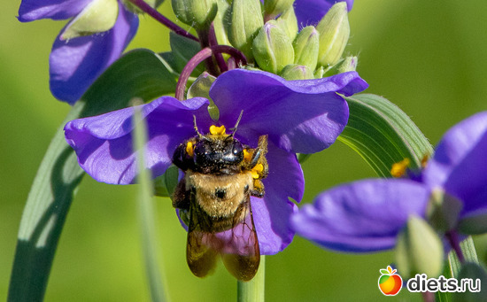 15 фото: everything