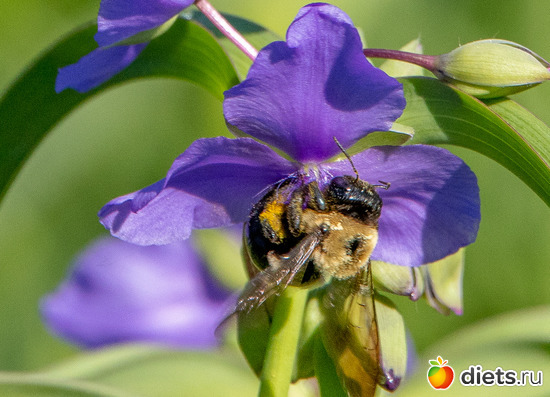 16 фото: everything