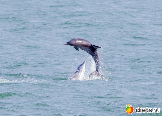 17 фото: everything