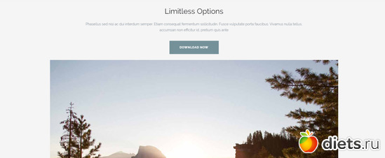 19 фото: everything