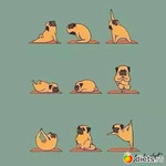 ������� ���� ������� �������������������� �������������� �������, �������, ��� � ˸�� ������, ����� �� � ���� ������.