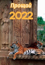 Еще один год уходит