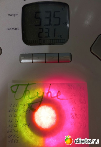 17 ����: ������