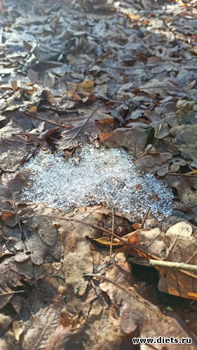 175 фото: Погода