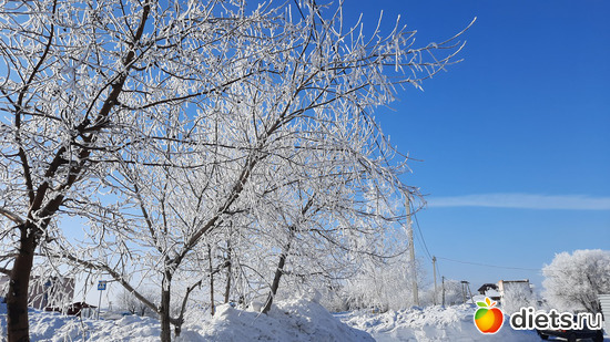 69 фото: Наши поездки-путешествия
