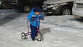 не сдаётся малыш