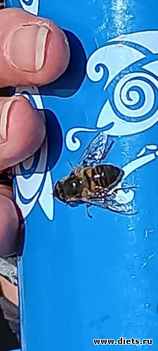 178 фото: Погода