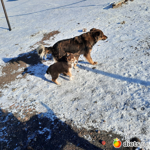 мама бдит))), альбом: Наши поездки-путешествия