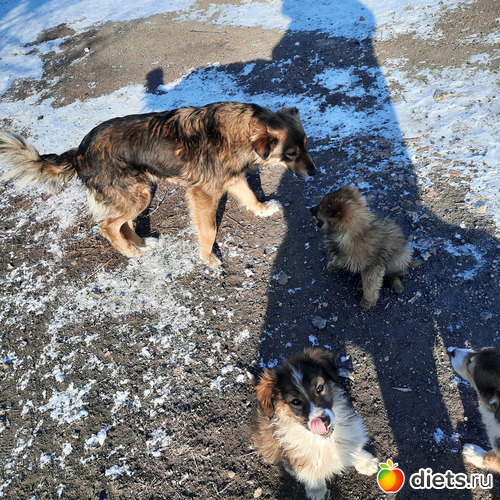 мои хорошие, альбом: Наши поездки-путешествия