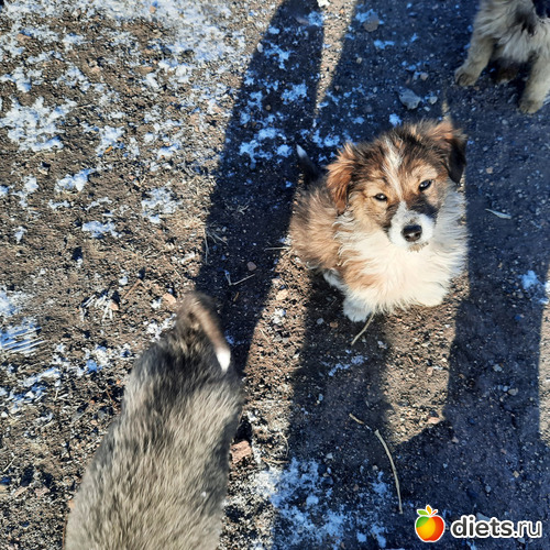 этого я бы себе забрала, альбом: Наши поездки-путешествия
