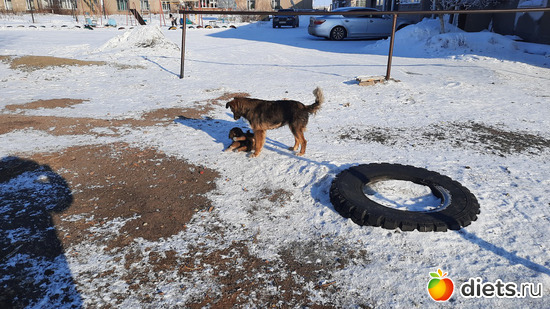 мама, альбом: Наши поездки-путешествия