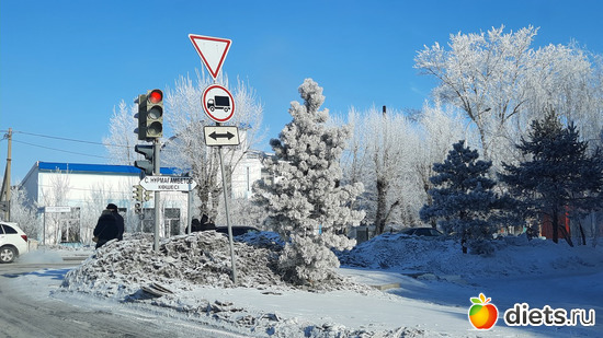 ёлочка удивительной красоты, альбом: Наши поездки-путешествия