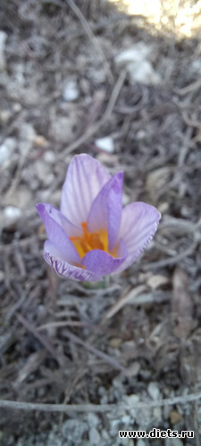 186 фото: Погода