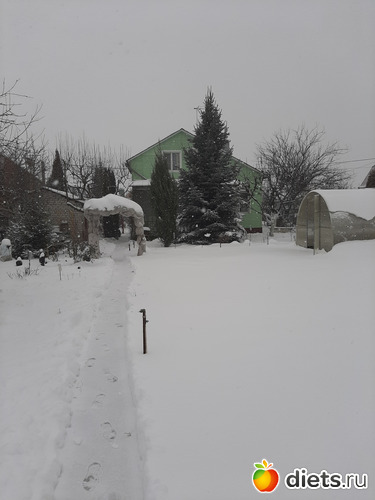 1 фото: Январь 2022