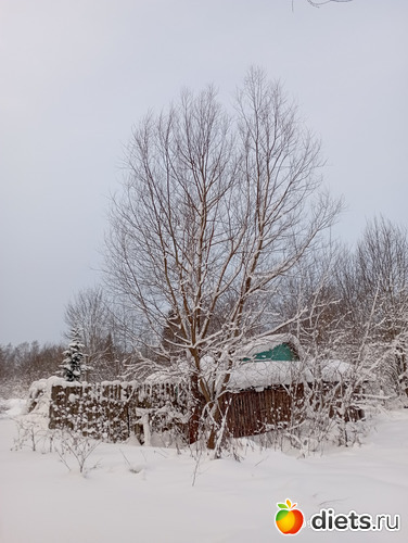 9 фото: ЗИМА 2022