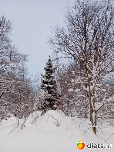 11 фото: ЗИМА 2022