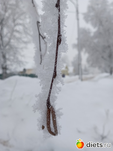 13 фото: ЗИМА 2022