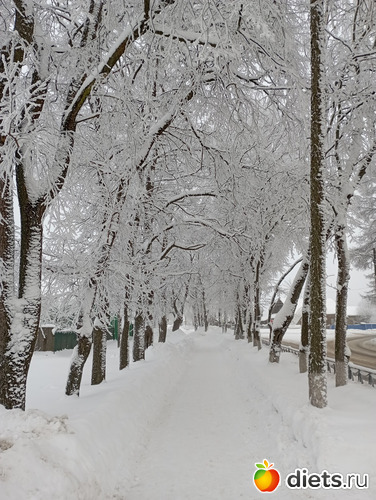 14 фото: ЗИМА 2022