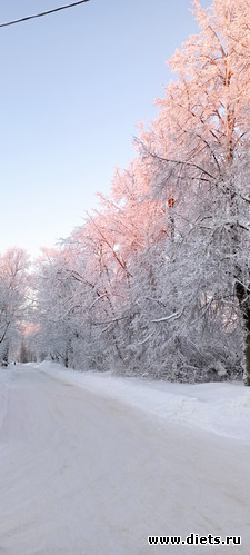 15 фото: ЗИМА 2022