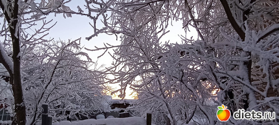 21 фото: ЗИМА 2022