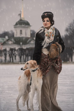 ���������� �������� ����