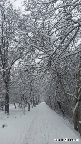 106 фото: Погода