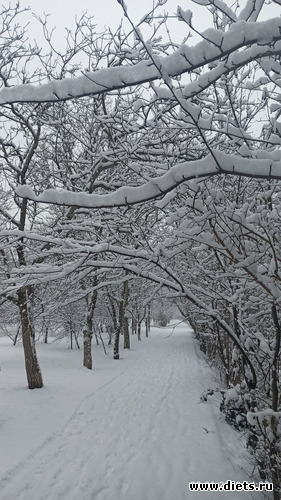 107 фото: Погода