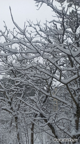 108 фото: Погода