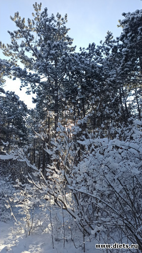 111 фото: Погода