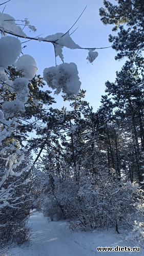 112 фото: Погода