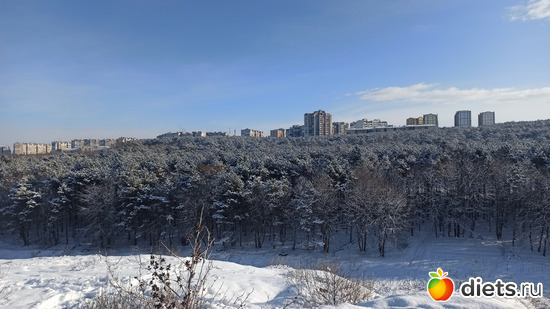 113 фото: Погода