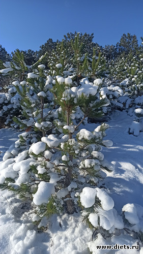 115 фото: Погода