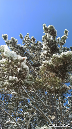 117 фото: Погода