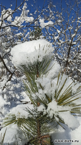 118 фото: Погода