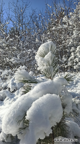 119 фото: Погода