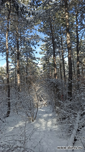 123 фото: Погода