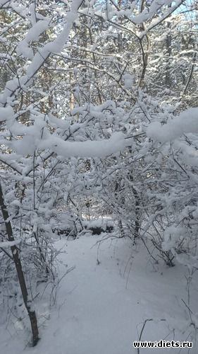 124 фото: Погода