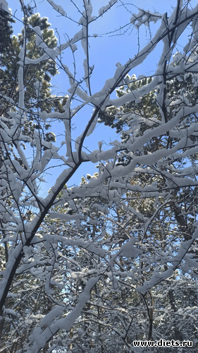 125 фото: Погода