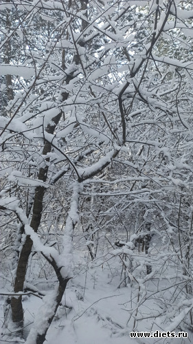 126 фото: Погода