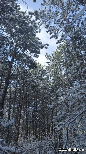 127 фото: Погода