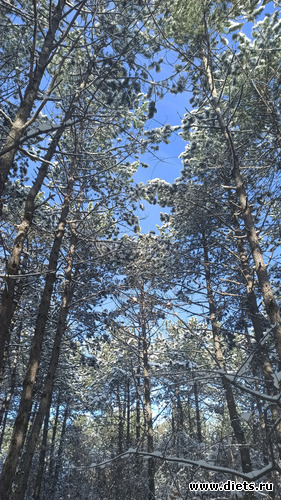 128 фото: Погода